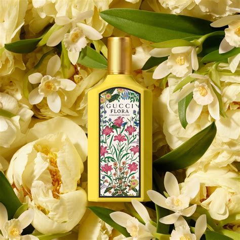 Gucci mujer PenalbaWeb.com