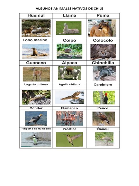 Guia animales PenalbaWeb.com
