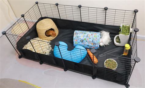 Guinea pig cage PenalbaWeb.com
