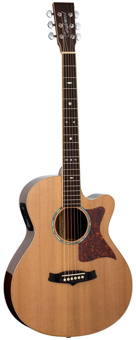 Guitarra acustica tanglewood PenalbaWeb.com