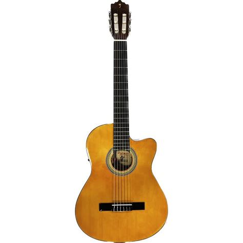 Guitarra cutaway PenalbaWeb.com
