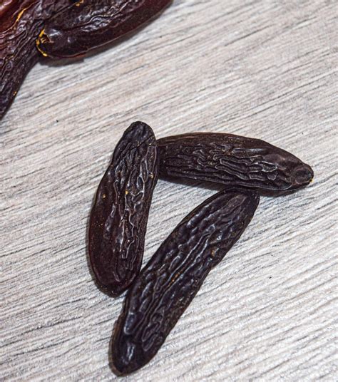 Haba tonka PenalbaWeb.com