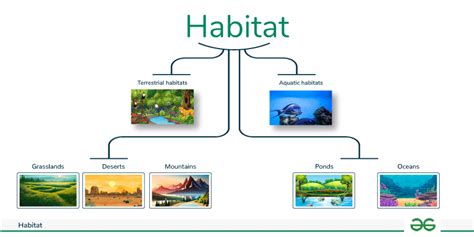Habitat PenalbaWeb.com