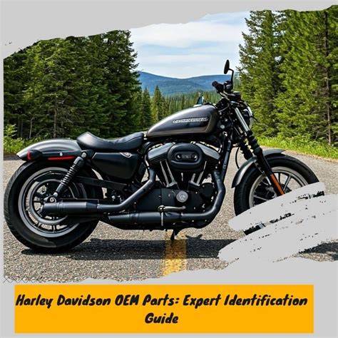 Harley davidson oem PenalbaWeb.com
