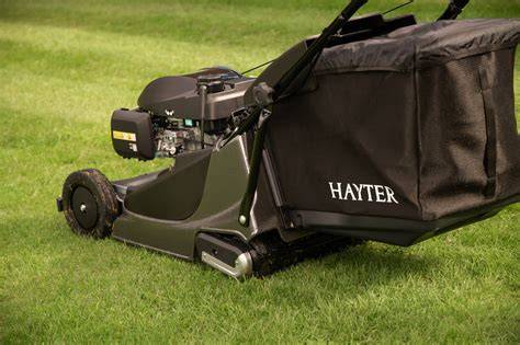 Hayter PenalbaWeb.com