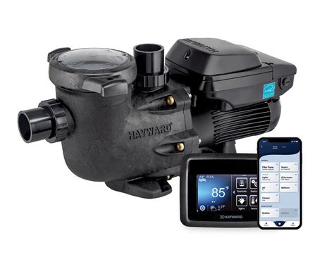 Hayward PenalbaWeb.com