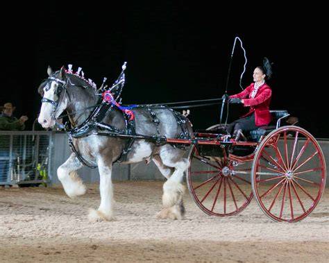 Heavy horse PenalbaWeb.com