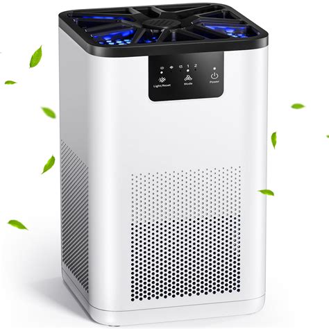 Hepa filter PenalbaWeb.com
