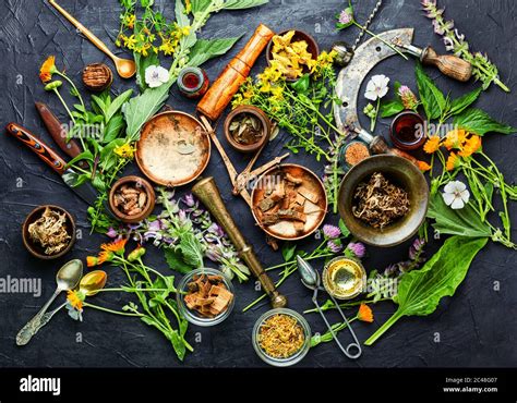 Herbal PenalbaWeb.com