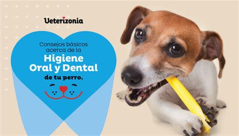Higiene dental perros PenalbaWeb.com