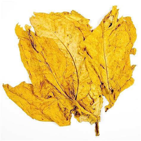 Hojas de tabaco virginia PenalbaWeb.com