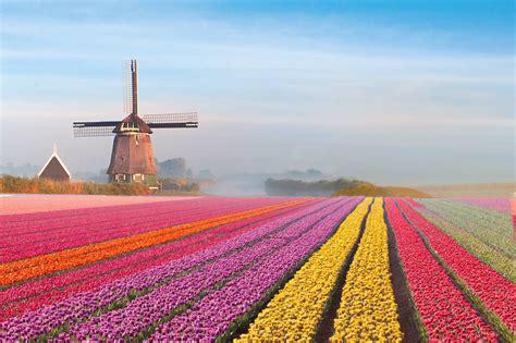 Holanda PenalbaWeb.com