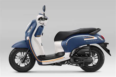 Honda scoopy 300 PenalbaWeb.com