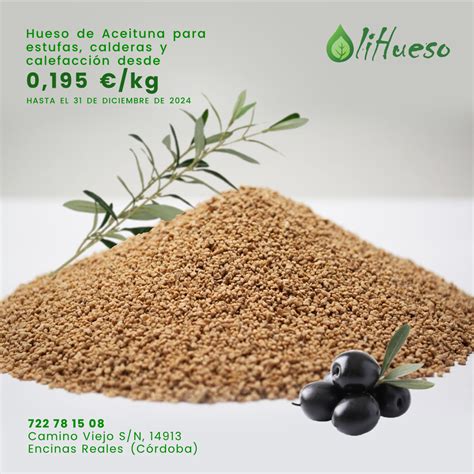 Hueso aceituna PenalbaWeb.com