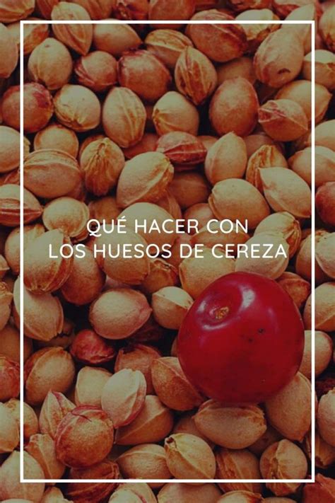 Huesos de cereza PenalbaWeb.com