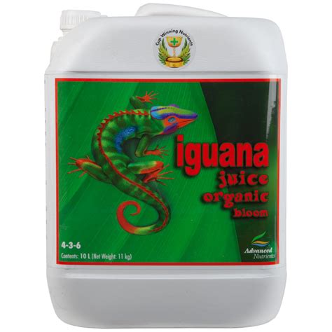 Iguana bloom PenalbaWeb.com