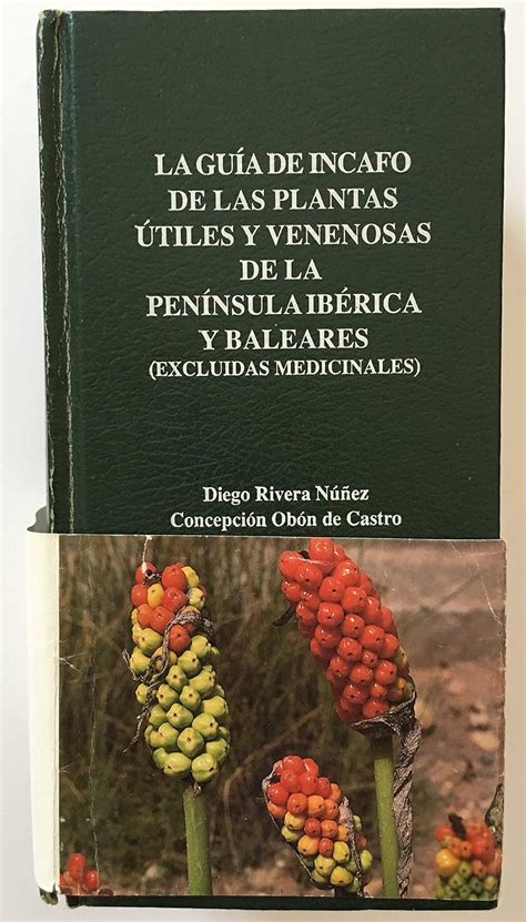 Incafo PenalbaWeb.com