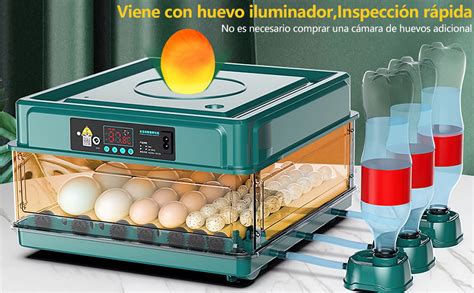 Incubadora automatica PenalbaWeb.com