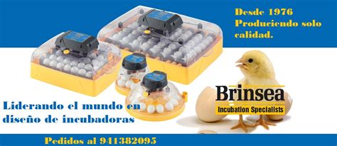 Incubadoras brinsea PenalbaWeb.com