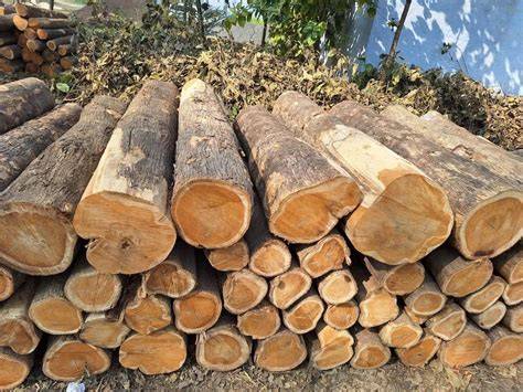 Indian wood PenalbaWeb.com