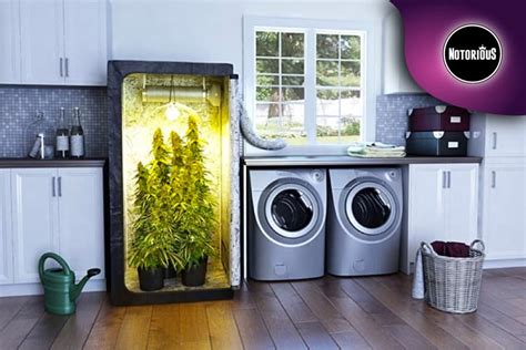 Indoor completo PenalbaWeb.com