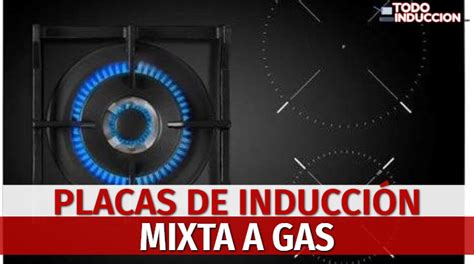 Induccion mixta PenalbaWeb.com