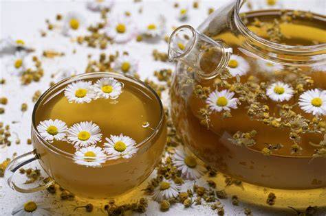 Infusiones PenalbaWeb.com