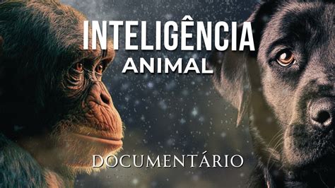 Inteligentes PenalbaWeb.com