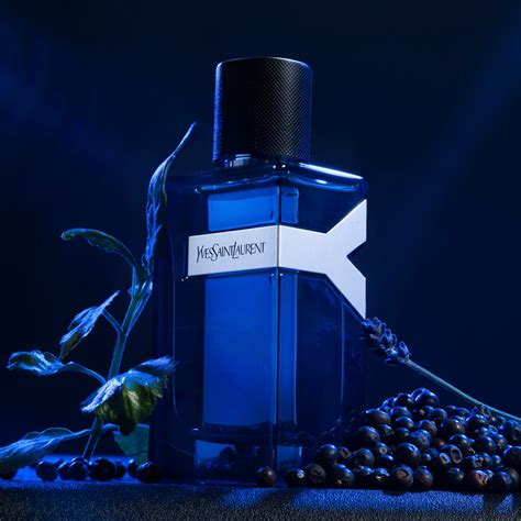 Intense edp PenalbaWeb.com