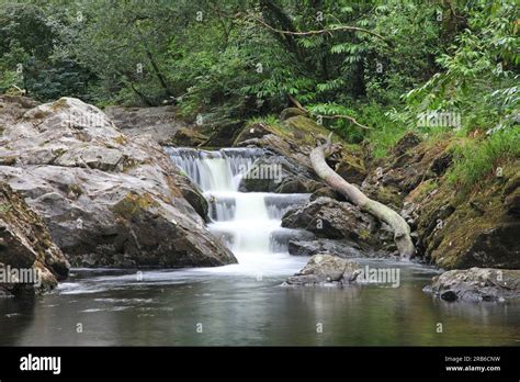 Ivybridge PenalbaWeb.com