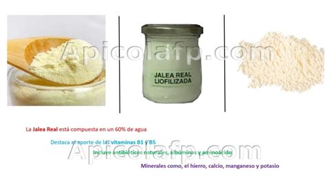 Jalea liofilizada PenalbaWeb.com