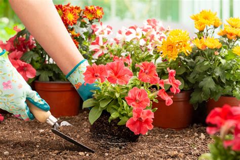 Jardin jardineria PenalbaWeb.com