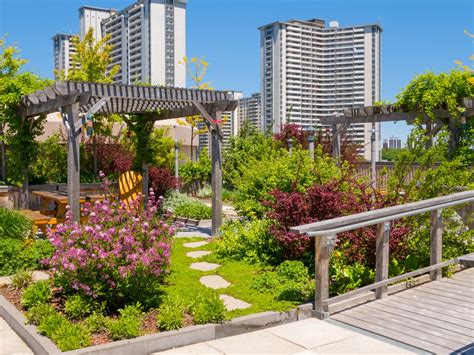 Jardin sur toit PenalbaWeb.com