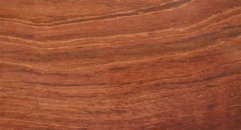 Jatoba PenalbaWeb.com