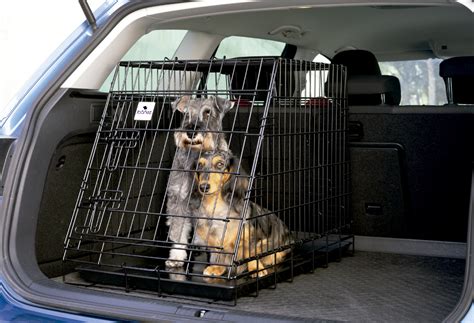 Jaula perro coche PenalbaWeb.com