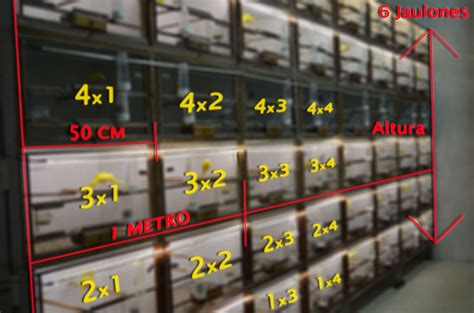 Jaulones de cria PenalbaWeb.com