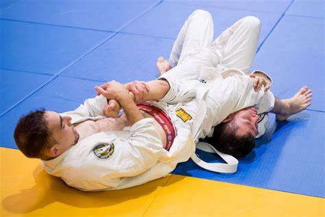 Jiu jitsu bjj PenalbaWeb.com
