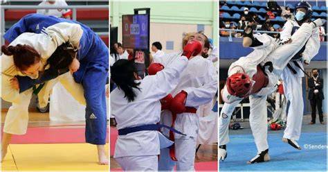 Juegos karate PenalbaWeb.com