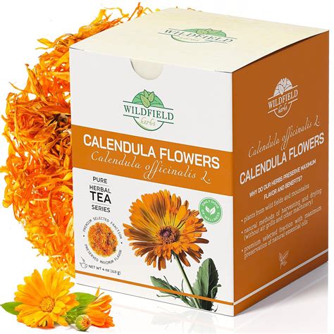 Kalendula PenalbaWeb.com