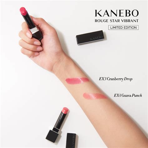 Kanebo rouge PenalbaWeb.com