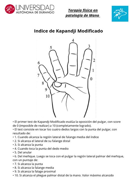 Kapandji PenalbaWeb.com