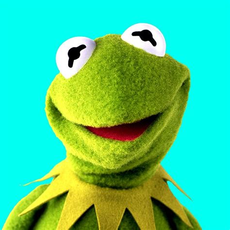 Kermit the frog PenalbaWeb.com
