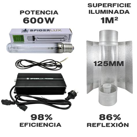 Kit iluminacion 600w PenalbaWeb.com