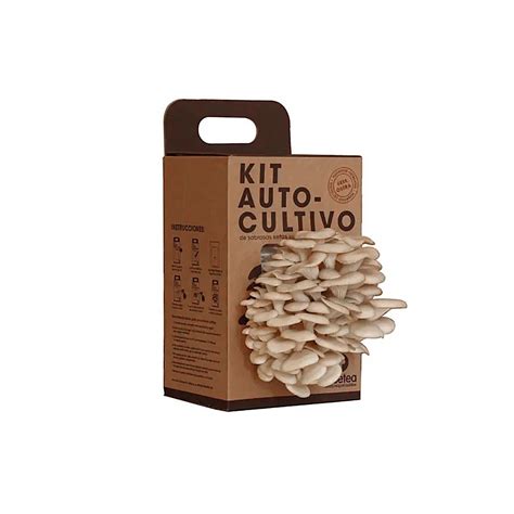Kit setas PenalbaWeb.com
