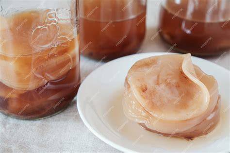 Kombucha PenalbaWeb.com