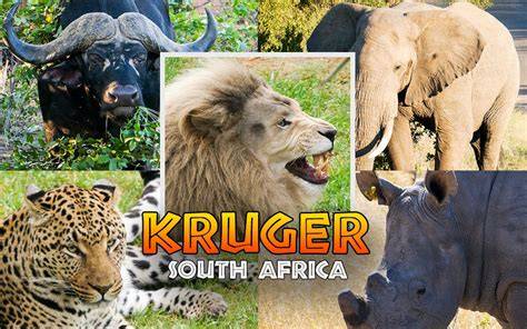 Kruger PenalbaWeb.com