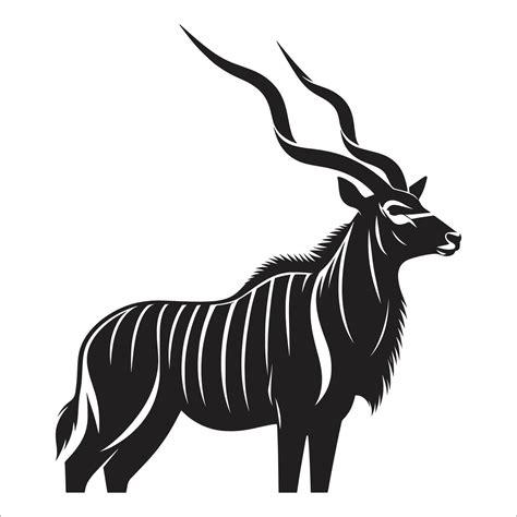 Kudu black PenalbaWeb.com