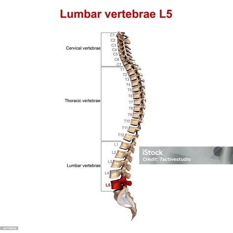 L5 libre PenalbaWeb.com