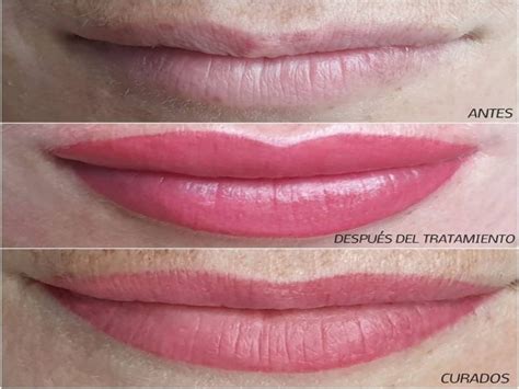 Labios palma PenalbaWeb.com