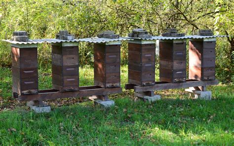 Langstroth PenalbaWeb.com